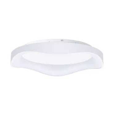 Потолочный светильник Arte Lamp ANKAA A3085PL-56WH