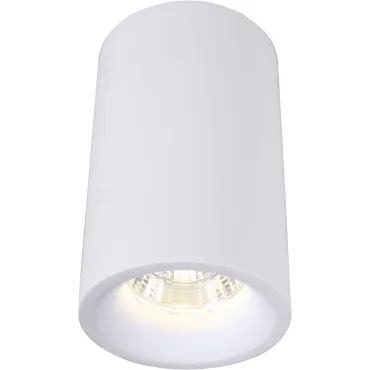 Светильник потолочный ARTE LAMP UGELLO A3105PL-1WH