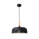 Подвесной светильник Arte Lamp KAYLA A7102SP-1BK