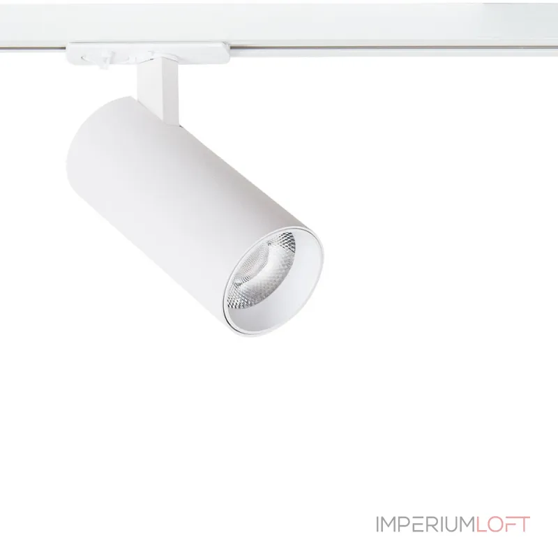 Однофазные трековые системы Arte Lamp BENE A1946PL-1WH