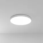 Светильники потолочные Arte Lamp FADO A6699PL-1WH