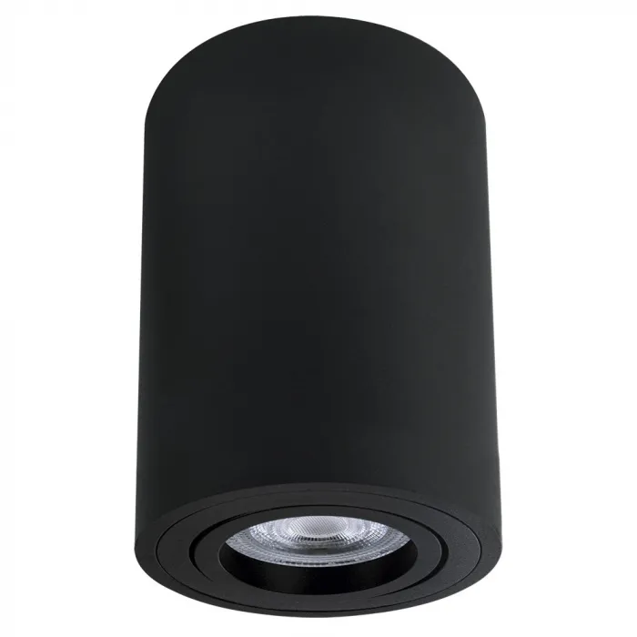 Точечный накладной светильник Arte Lamp SENTRY A1566PL-1BK от ImperiumLoft