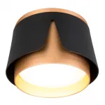 Светильник потолочный ARTE LAMP A8028PL-1BK