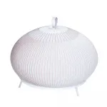 Настольная лампа Divinare FIREFLY 1808/33 TL-50