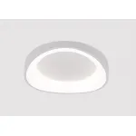 Светильник потолочный ARTE LAMP SUALOCIN A2698PL-48WH