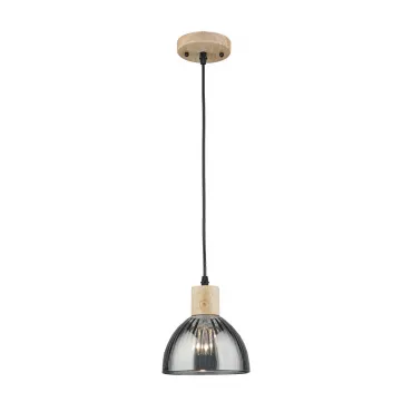 Светильник подвесной Arte Lamp LANCASTER A5869SP-1BK