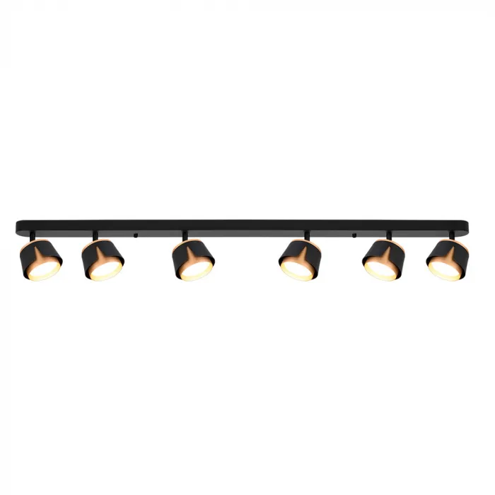 Светильник потолочный ARTE LAMP A8028PL-6BK от ImperiumLoft