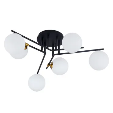 Светильник потолочный Arte Lamp GEMINI A2243PL-6BK