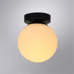 Настенно-потолочный светильник Arte Lamp ALCOR A2224PL-1BK