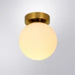 Настенно-потолочный светильник Arte Lamp ALCOR A2224PL-1PB