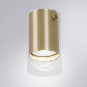 Светильник потолочный ARTE LAMP LAZIO A5365PL-1SG
