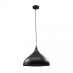 Подвесной светильник Arte Lamp CARMEL A7076SP-1BK