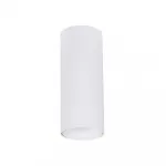 Точечный накладной светильник Arte Lamp NET MINI A6450PL-1WH