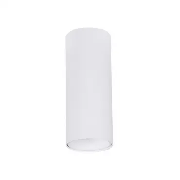 Точечный накладной светильник Arte Lamp NET MINI A6450PL-1WH