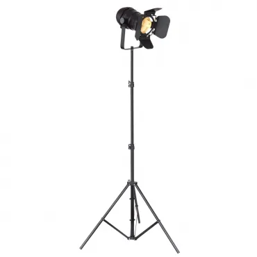 Торшер Egon 54650-1SB Globo