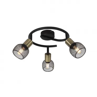 Спот Fiastra 54028-3 Globo