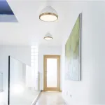 Потолочный светильник TABER D20 White от ImperiumLoft
