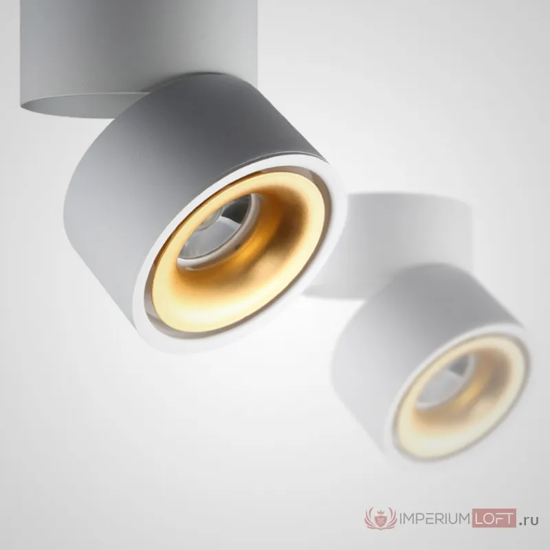 Потолочный светильник AGENDA White+Gold 3W от ImperiumLoft