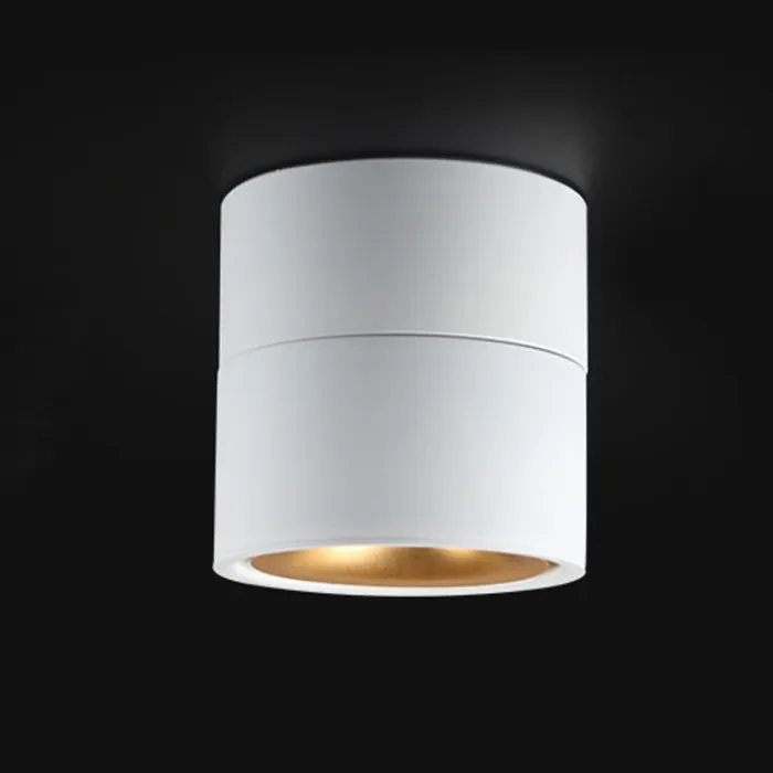 Потолочный светильник AGENDA White+Gold 7W от ImperiumLoft