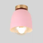 Потолочный точечный светильник CREAMY Pink от ImperiumLoft