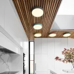 Потолочный светильник DISC COLOR D60 Green от ImperiumLoft