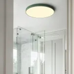 Потолочный светильник DISC COLOR D60 Green от ImperiumLoft