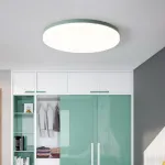 Потолочный светильник DISC HALF D38 Pink от ImperiumLoft