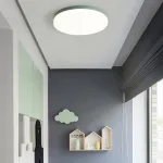 Потолочный светильник DISC HALF D38 Pink от ImperiumLoft