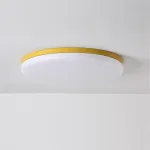 Потолочный светильник DISC HALF D48 Yellow от ImperiumLoft