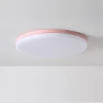Потолочный светильник DISC HALF D38 Pink от ImperiumLoft