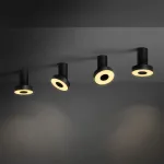 Потолочный точечный светильник STIR Black