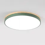 Потолочный светильник DISC D D40 Green от ImperiumLoft