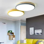 Потолочный светильник DISC DH D38 Pink от ImperiumLoft
