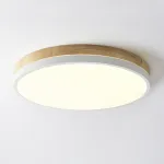 Потолочный светильник DISC DH D48 White от ImperiumLoft