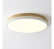 Потолочный светильник DISC DH D48 White