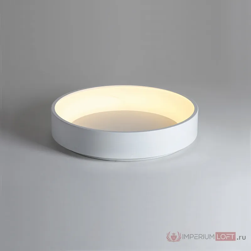 Потолочный светодиодный светильник TRAY D45 White от ImperiumLoft