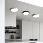 Потолочный светильник DISC BW D50 Black от ImperiumLoft