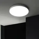 Потолочный светильник DISC BW D50 Black от ImperiumLoft