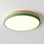 Потолочный светильник DISC DH D27 Green от ImperiumLoft