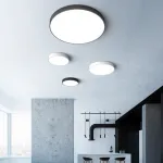 Потолочный светильник DISC BW D50 Black от ImperiumLoft