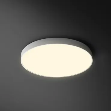 Потолочный светильник DISC BW D30 White