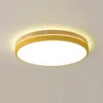 Потолочный светильник DISC DH D38 Pink от ImperiumLoft