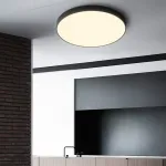 Потолочный светильник DISC BW D50 Black от ImperiumLoft
