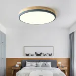 Потолочный светильник DISC DH D38 Pink от ImperiumLoft