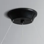 Подвесной кольцевой светильник RANGE 1 D55 Black walnut от ImperiumLoft