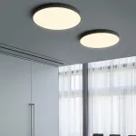 Потолочный светильник DISC BW D50 Black от ImperiumLoft