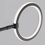 Люстра на штанге RINGLETS A Black от ImperiumLoft