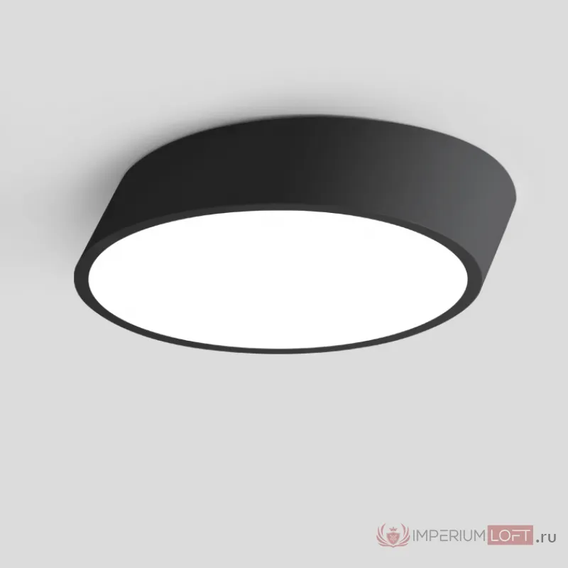 Потолочный светильник INCLINE D50 H10 Black от ImperiumLoft