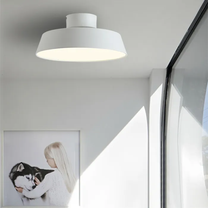 Потолочный светильник VALLA D40 Grey от ImperiumLoft