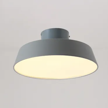 Потолочный светильник VALLA D30 Grey от ImperiumLoft